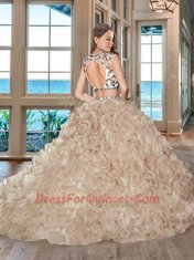 Custom Fit Scoop With Train Two Pieces Cap Sleeves Pink Sweet 16 Dress Brush Train Backless