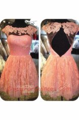 Best Selling Scoop Lace Knee Length A-line Cap Sleeves Baby Pink Prom Dress Backless