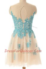 Mini Length Zipper Evening Dress Champagne for Prom and Party with Appliques
