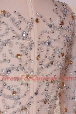 Classical Scoop Long Sleeves Brush Train Zipper Prom Dresses Pink Chiffon