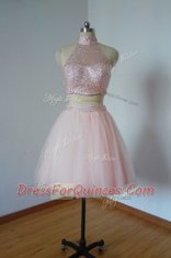 Mini Length A-line Sleeveless Pink Evening Dress Zipper