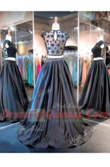 Scoop Sleeveless Brush Train Clasp Handle Prom Evening Gown Black Taffeta