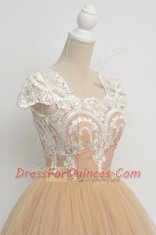 Knee Length Champagne Prom Gown Scoop Cap Sleeves Zipper