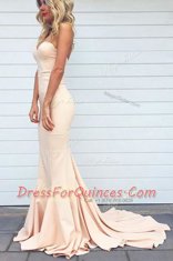 Excellent Mermaid Champagne Zipper Evening Dress Ruching Sleeveless Court Train