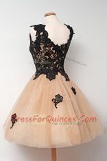 Sexy Square Sleeveless Evening Dress Knee Length Appliques Champagne Tulle