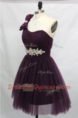 Chic Purple A-line One Shoulder Sleeveless Tulle Knee Length Lace Up Beading Prom Dresses