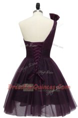 Chic Purple A-line One Shoulder Sleeveless Tulle Knee Length Lace Up Beading Prom Dresses