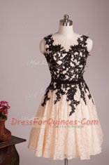Fabulous Champagne Prom Gown For with Lace Scoop Sleeveless Zipper