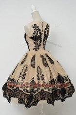 Scoop Knee Length Ball Gowns Sleeveless Champagne Zipper