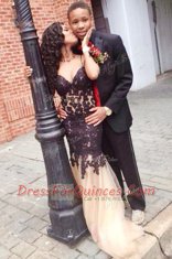 Top Selling Mermaid Sleeveless Lace Up Floor Length Lace Prom Gown