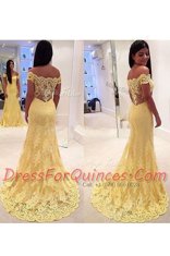 Off the Shoulder Lace Sleeveless With Train Dress for Prom Brush Train and Lace