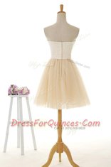 Glorious Champagne Sleeveless Lace Knee Length Prom Dress