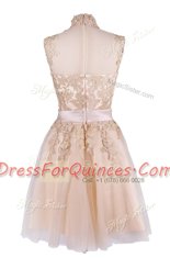 Stylish Knee Length Champagne Prom Party Dress High-neck Sleeveless Zipper