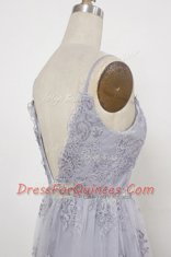 Sleeveless Sweep Train Backless With Train Appliques Prom Party Dress