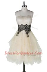 Champagne A-line Tulle Strapless Sleeveless Appliques Knee Length Zipper Prom Dresses