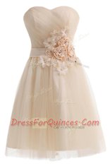 Fantastic Champagne Sleeveless Tulle Lace Up Prom Dresses for Prom and Party
