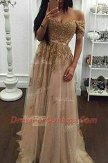 Dazzling Off the Shoulder Champagne Tulle Zipper Short Sleeves With Train Sweep Train Beading and Appliques