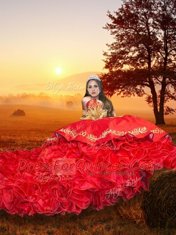 Fine Red Sweetheart Neckline Embroidery and Ruffles Quince Ball Gowns Sleeveless Lace Up