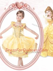 Scoop Beading and Hand Made Flower Toddler Flower Girl Dress Gold Clasp Handle Sleeveless Knee Length