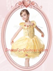 Scoop Beading and Hand Made Flower Toddler Flower Girl Dress Gold Clasp Handle Sleeveless Knee Length