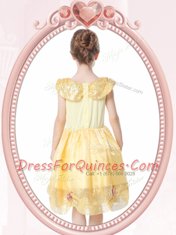 Scoop Beading and Hand Made Flower Toddler Flower Girl Dress Gold Clasp Handle Sleeveless Knee Length