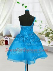 Baby Blue Organza Lace Up Little Girls Pageant Dress Wholesale Sleeveless Knee Length Beading and Hand Made Flower