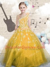 Glamorous Orange Lace Up Asymmetric Appliques Flower Girl Dresses for Less Tulle Sleeveless