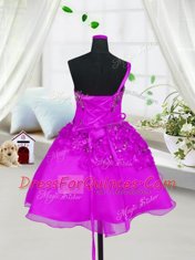 Fuchsia Sleeveless Organza Lace Up Little Girls Pageant Gowns for Party and Wedding Party