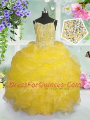 Wonderful Organza Sleeveless Floor Length Flower Girl Dresses and Beading and Ruffles and Pick Ups
