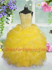 Wonderful Organza Sleeveless Floor Length Flower Girl Dresses and Beading and Ruffles and Pick Ups