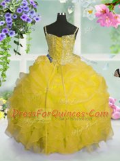Wonderful Organza Sleeveless Floor Length Flower Girl Dresses and Beading and Ruffles and Pick Ups