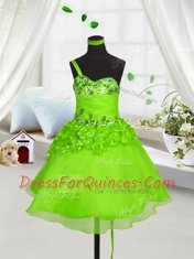 One Shoulder Sleeveless Lace Up Little Girls Pageant Dress Wholesale Organza