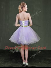 Mini Length A-line Sleeveless Lavender Evening Dress Lace Up