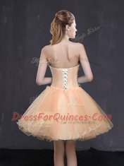 Peach A-line Sweetheart Sleeveless Organza Mini Length Lace Up Appliques Evening Dress