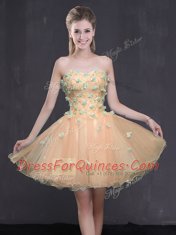Peach A-line Sweetheart Sleeveless Organza Mini Length Lace Up Appliques Evening Dress