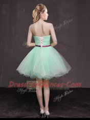 Suitable Apple Green Sleeveless Organza Lace Up Prom Party Dress for Prom and Party