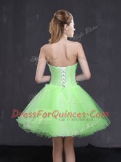 Custom Designed Appliques Prom Dress Lace Up Sleeveless Mini Length