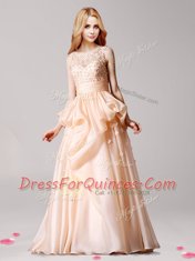 Wonderful Champagne Evening Dress Prom and For with Appliques and Pick Ups Scoop Sleeveless Zipper