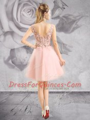 Baby Pink Zipper Dress for Prom Appliques Sleeveless Mini Length