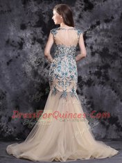 Mermaid Champagne Tulle Zipper Sleeveless With Brush Train Appliques and Ruffles