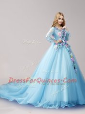 Long Sleeves Brush Train Lace Up Hand Made Flower Quinceanera Dress