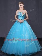 Fitting Baby Blue Sleeveless Floor Length Appliques Lace Up Quinceanera Dresses