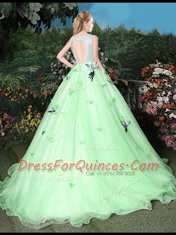 Low Price Scoop Sleeveless Brush Train Zipper Appliques Sweet 16 Quinceanera Dress