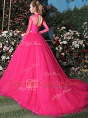 New Arrival Long Sleeves Brush Train Appliques Lace Up Quince Ball Gowns