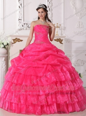 Hot Pink Ball Gown Strapless Floor-length Organza Appliques Quinceanera Dress