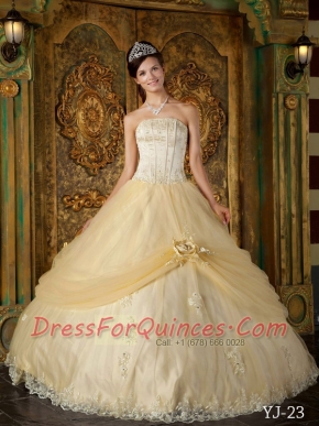 Strapless Ball Gown Appliques Hand Made Flower Champange Tulle Spring Quinceanera Dresses 2014