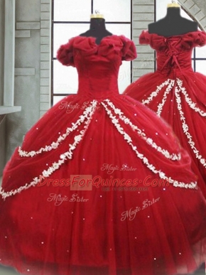 Fabulous Sleeveless Brush Train Lace Up Appliques and Pick Ups Ball Gown Prom Dress