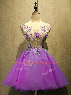 Sleeveless Lace Up Mini Length Embroidery Prom Dresses