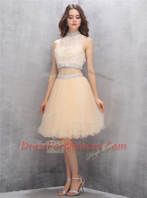 Sleeveless Zipper Knee Length Beading and Embroidery Prom Dresses