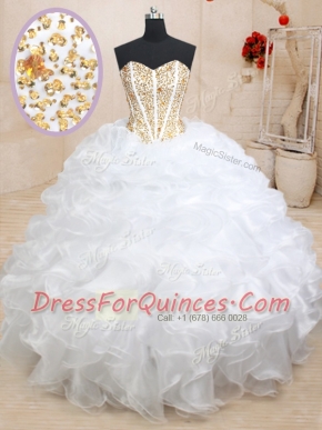 Elegant Organza Sleeveless Floor Length Sweet 16 Quinceanera Dress and Beading and Ruffles